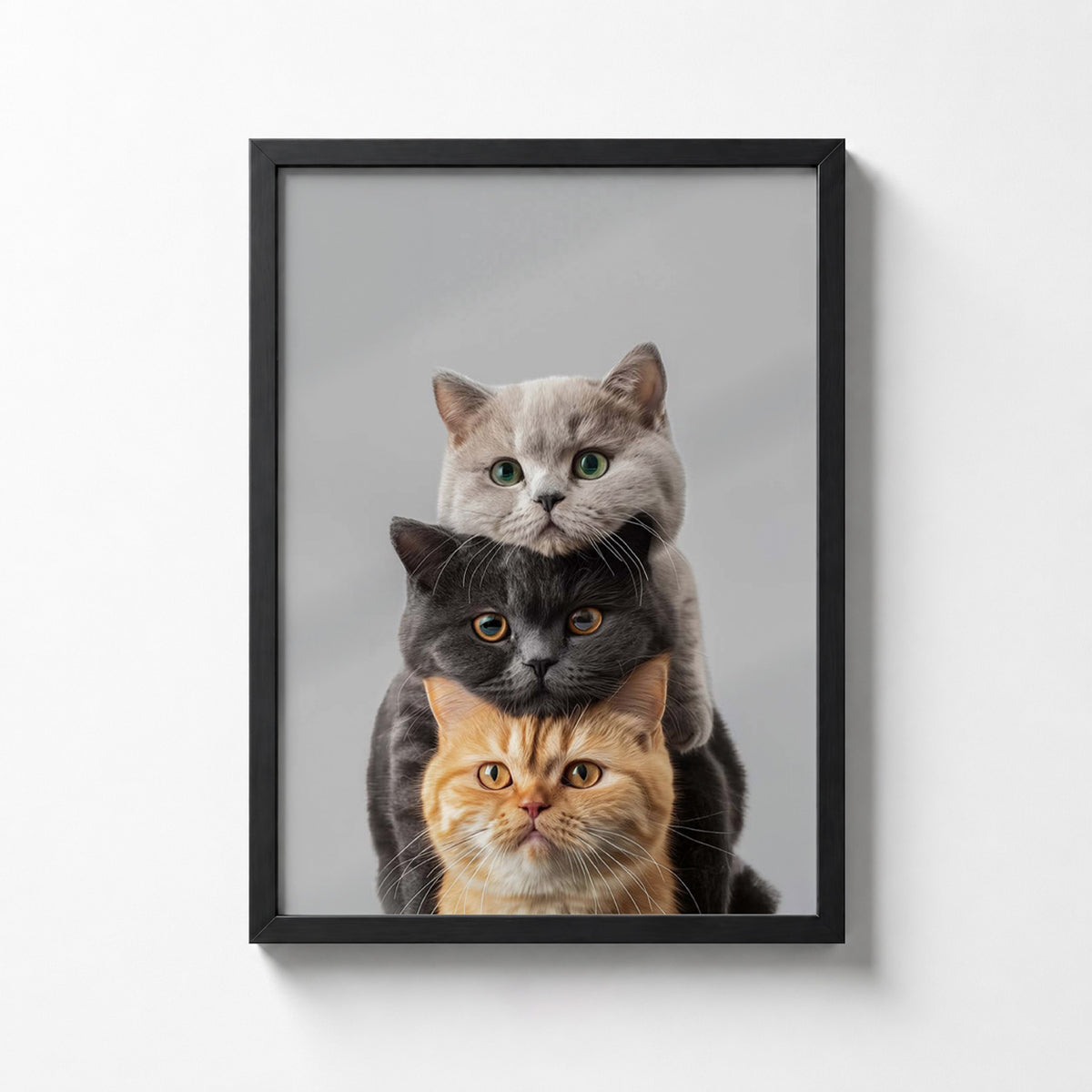 Three Cats