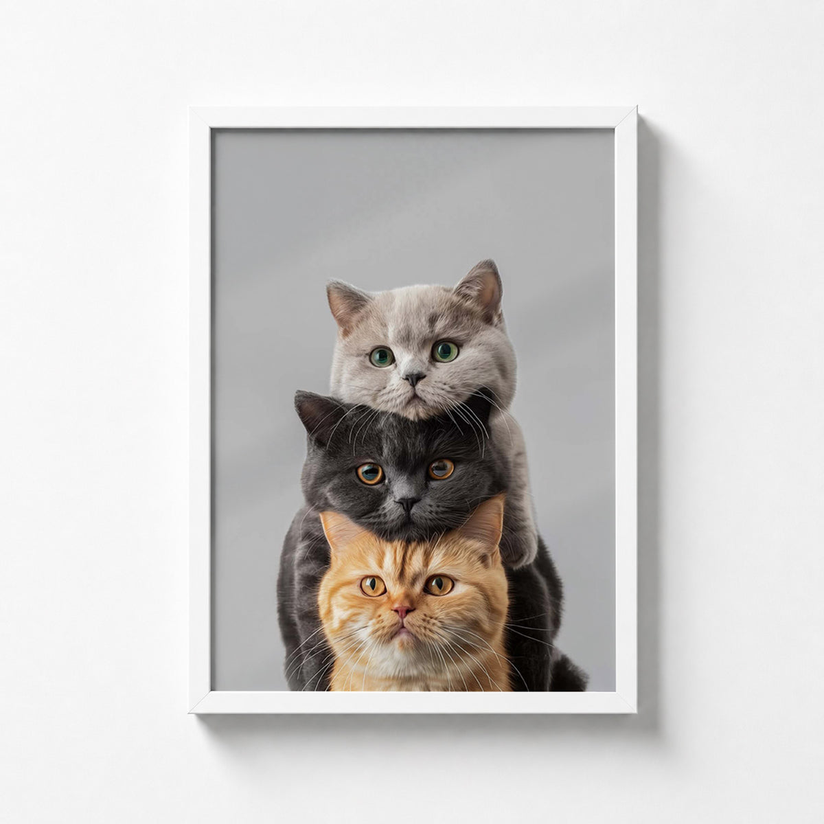 Three Cats