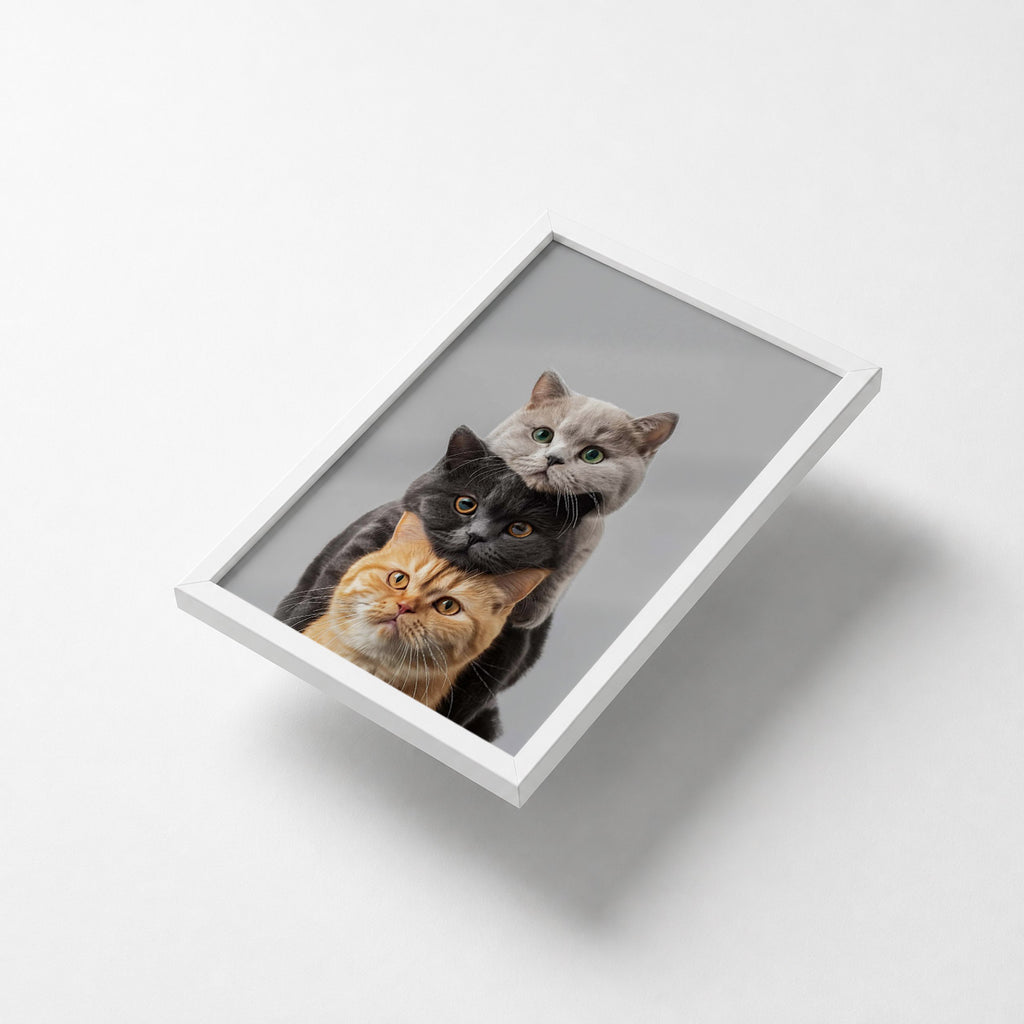 Three Cats