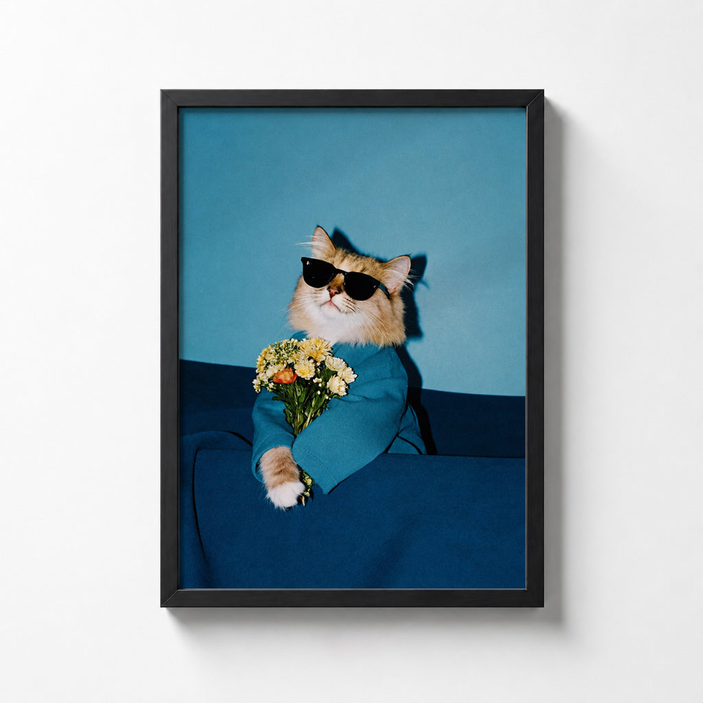 Cool Cat