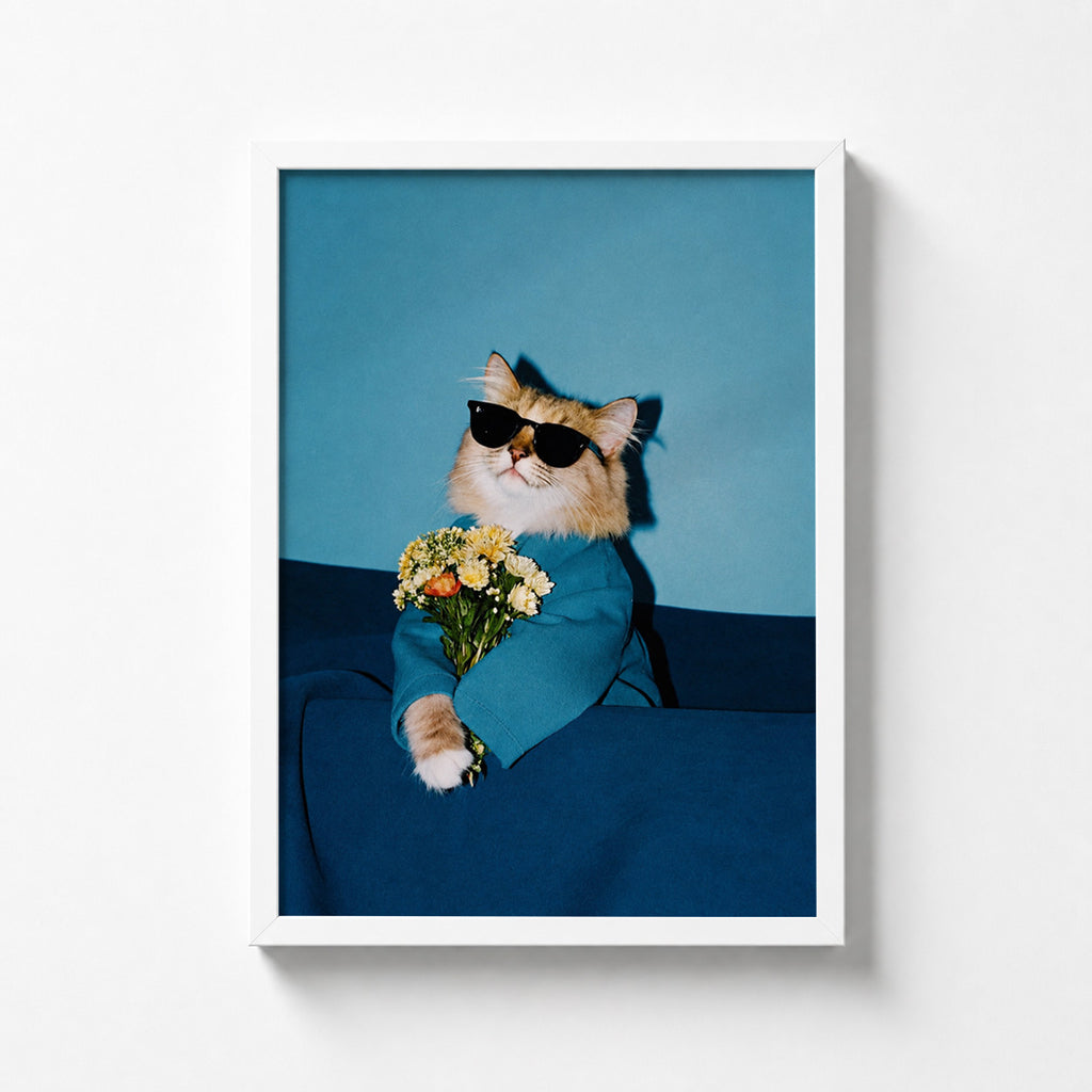 Cool Cat