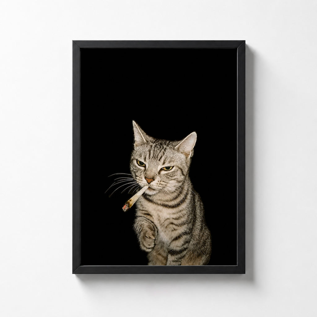 Rebel Cat