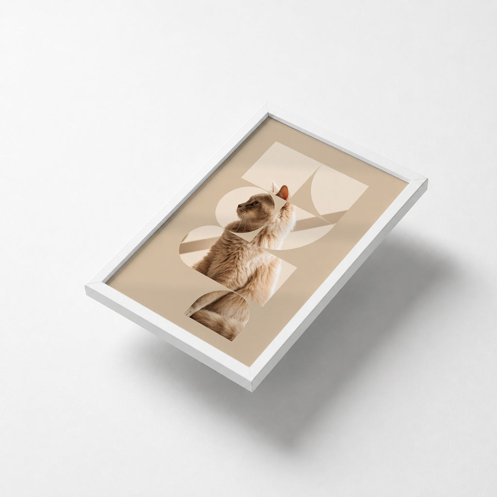 Geometric Cat