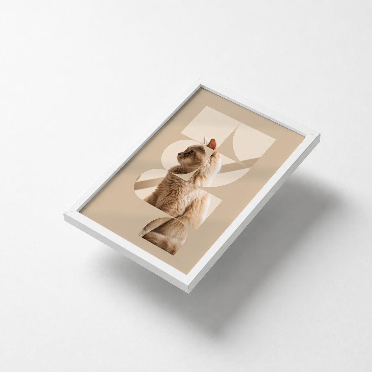 Geometric Cat