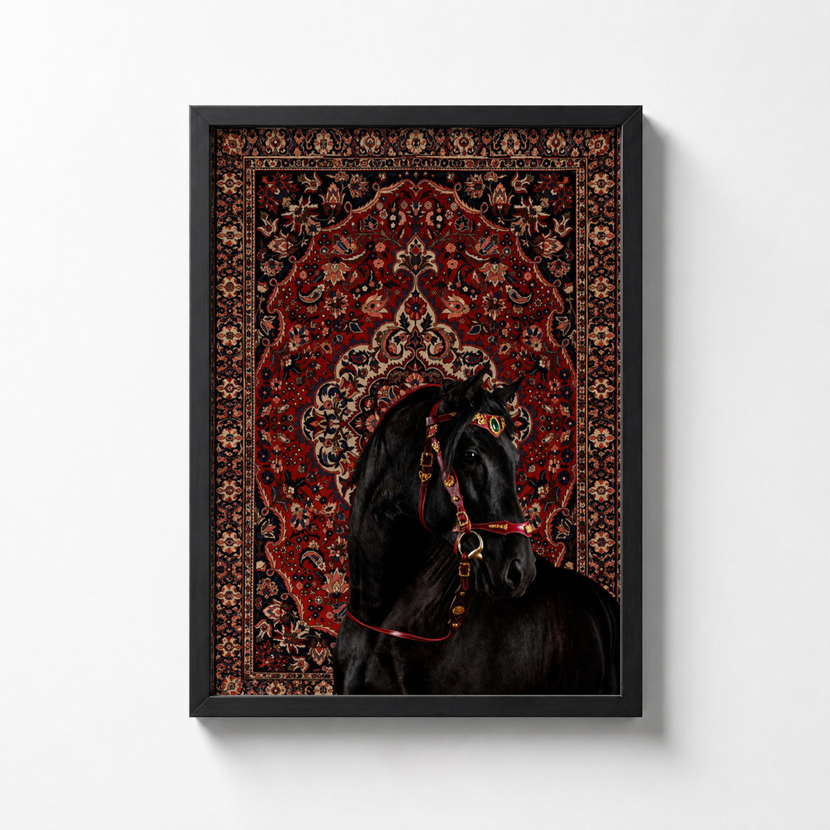 Black Stallion