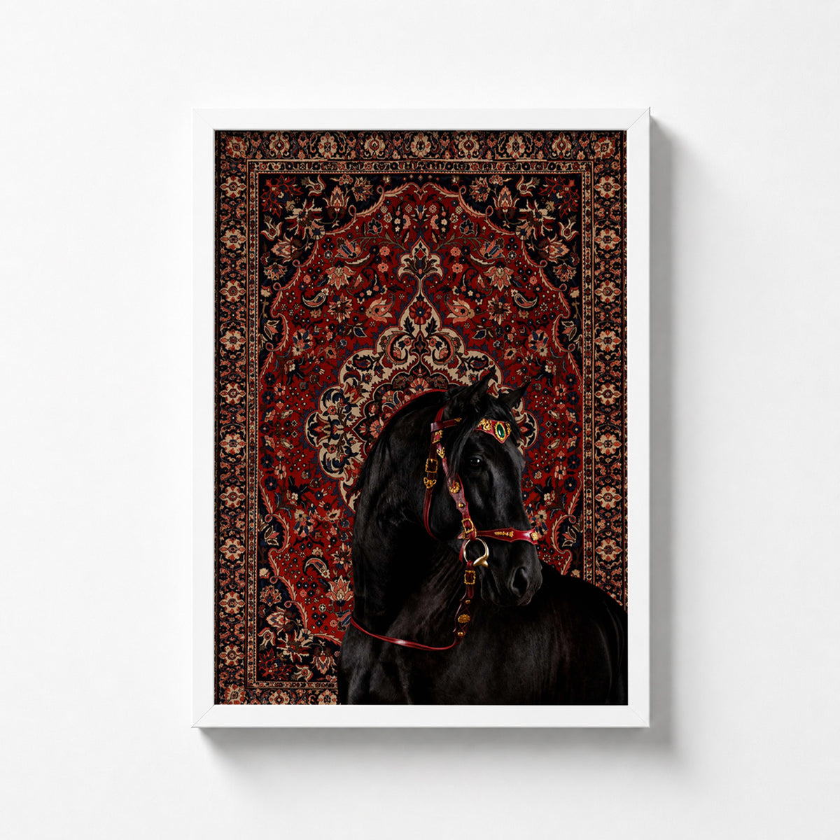 Black Stallion
