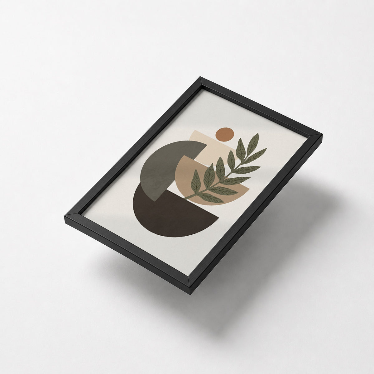 Botanical Geometry