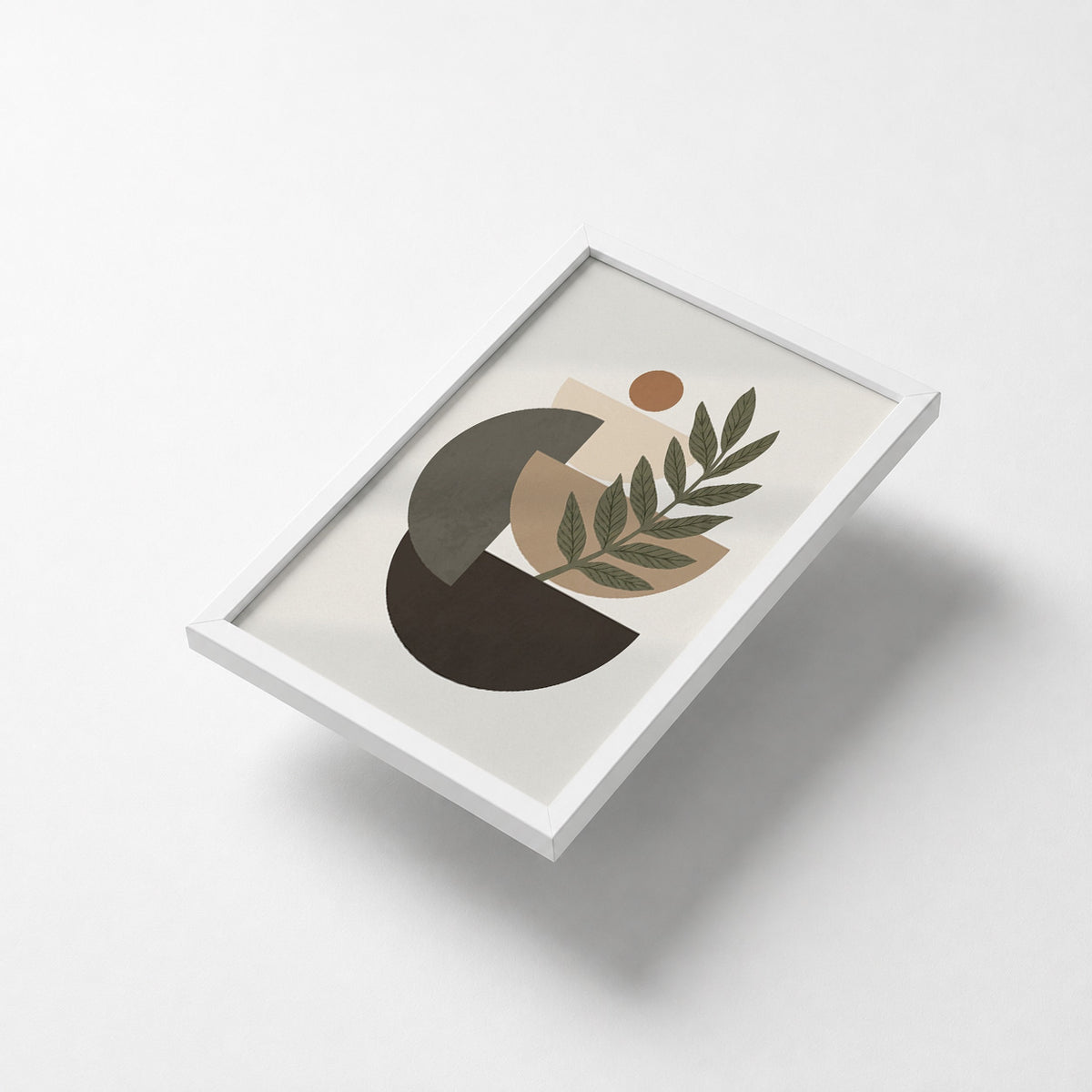 Botanical Geometry