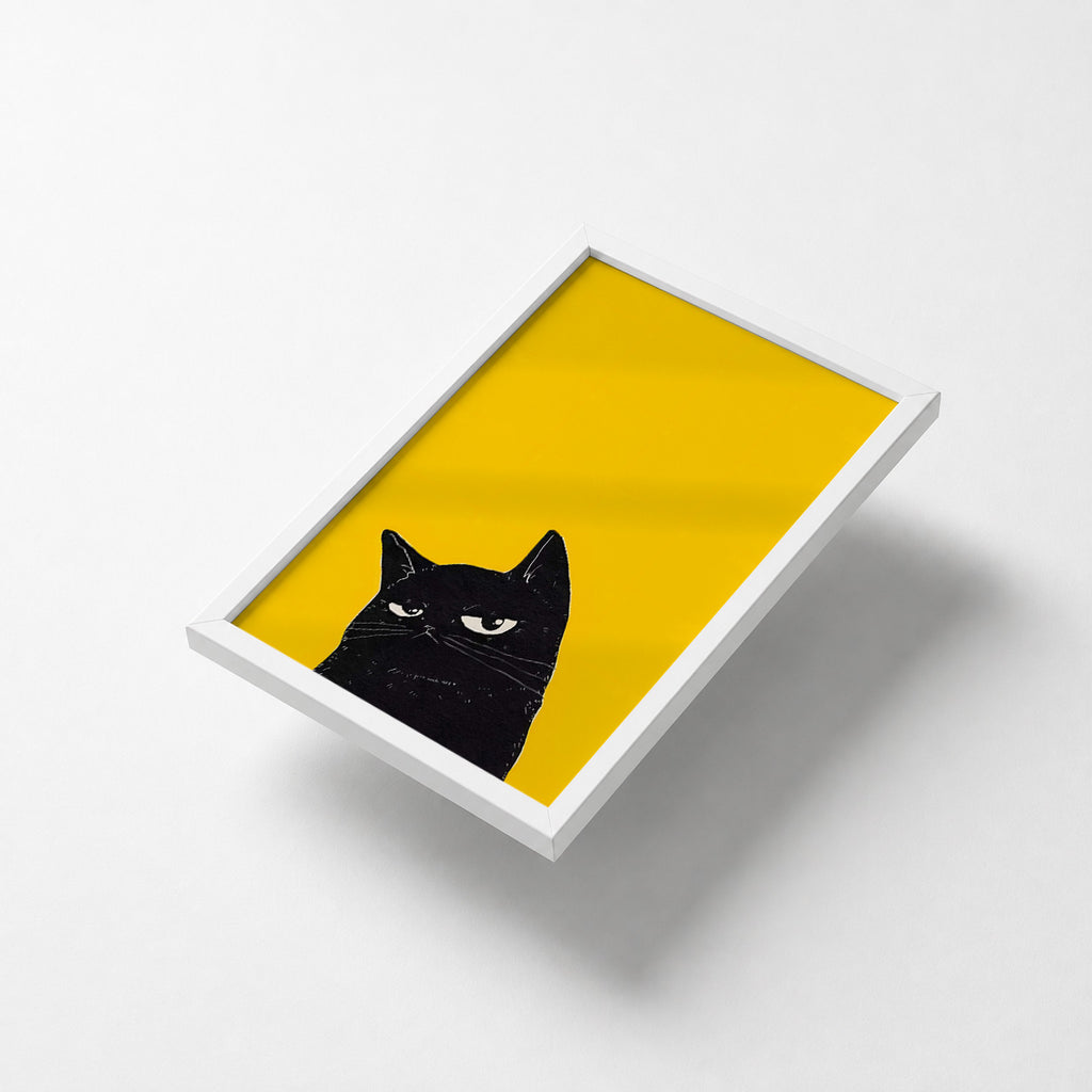 Black Cat
