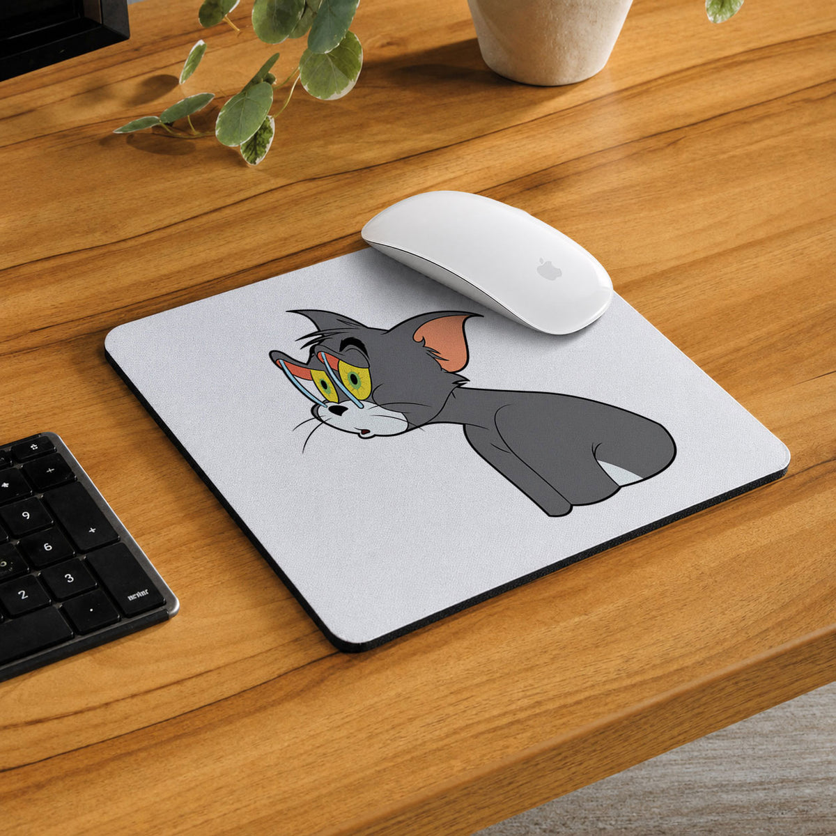 Tom Cat