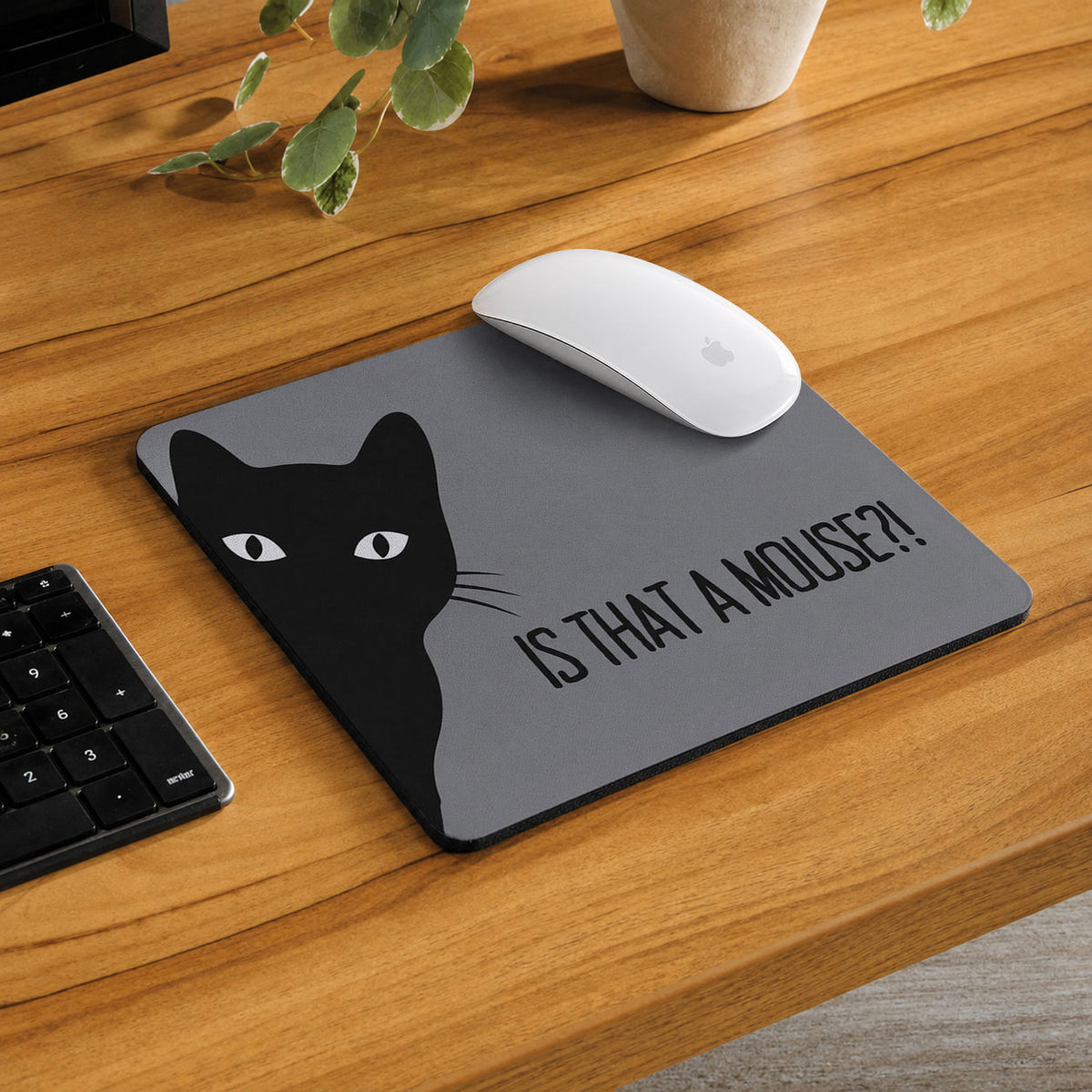Is That a Mouse