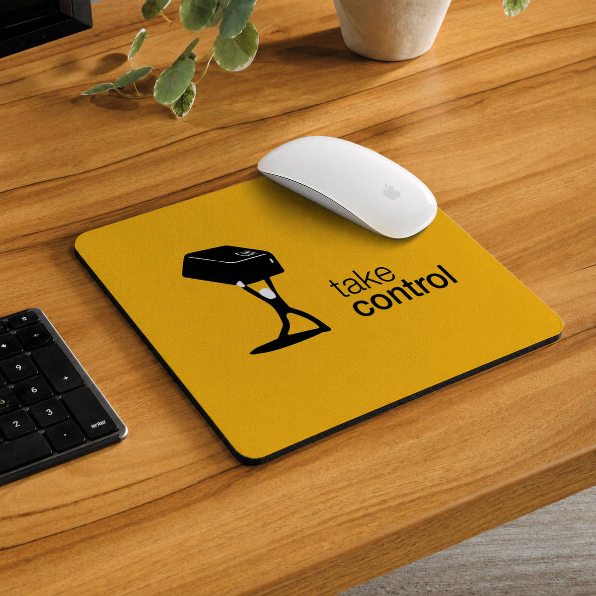 Take Control