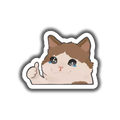 Thumbs Up Cat