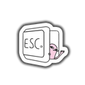 ESC Key