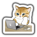 Cat Coding