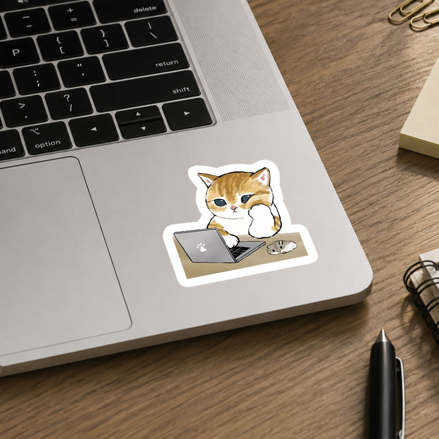 Cat Coding