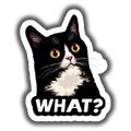 What Cat