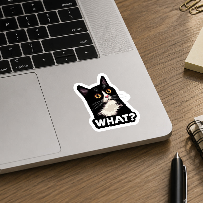 What Cat