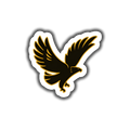 Al Ahly Eagle
