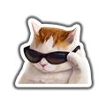 Cool Cat