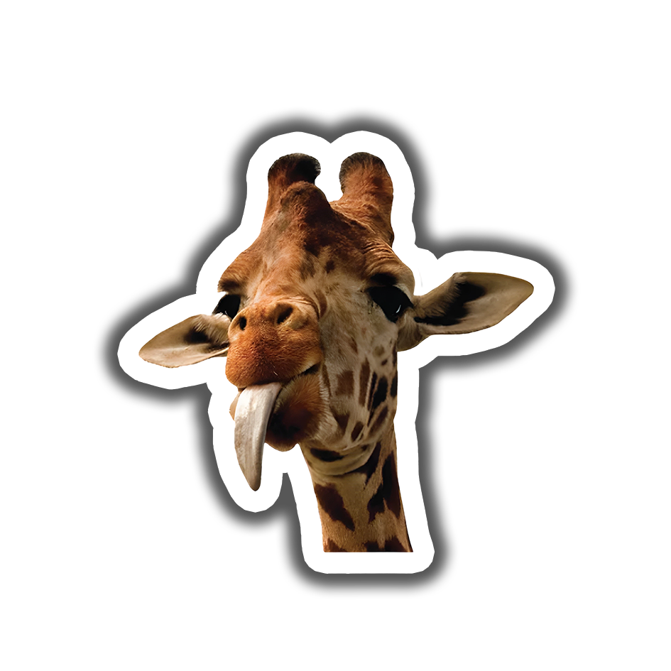 Funny Giraffe