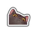 Peeking Cat