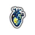 Starry Heart Art