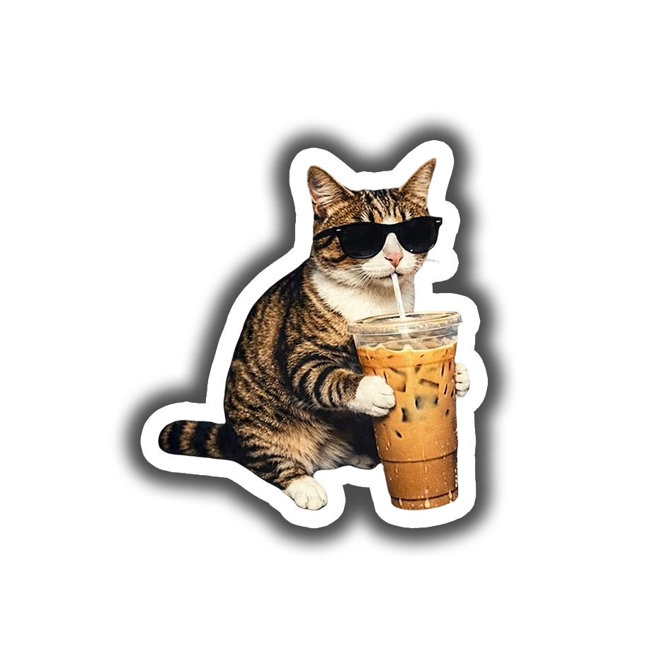 Iced Coffee Cat