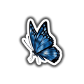 Blue Butterfly