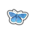 Blue Butterfly