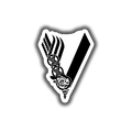 Vikings
