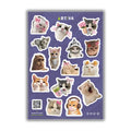 Cat Sheet